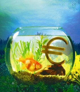 ақша тарту үшін алтын балық бар аквариум